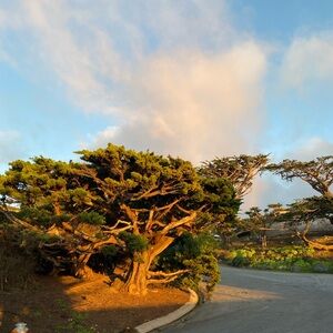 Meet your Posher, Jocelyn